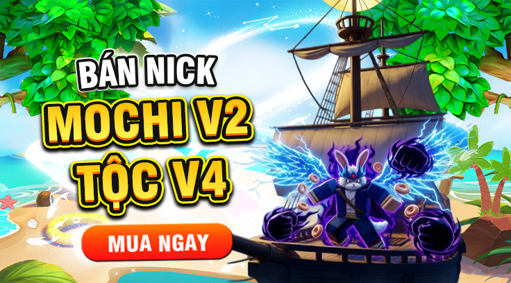 ACC MOCHI V2