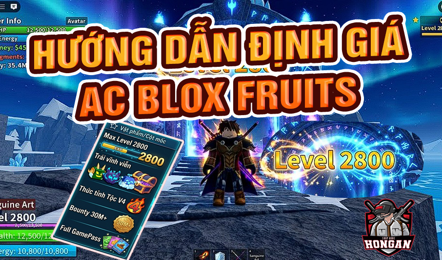 Cách Định Giá Acc Blox Fruits 2026: Level 2800, Sea 3
